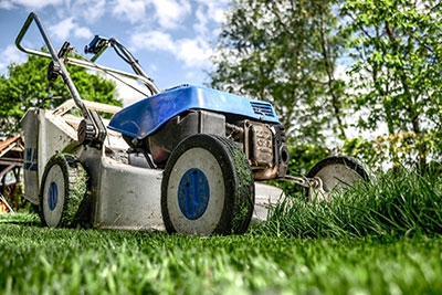 Garden clean ups